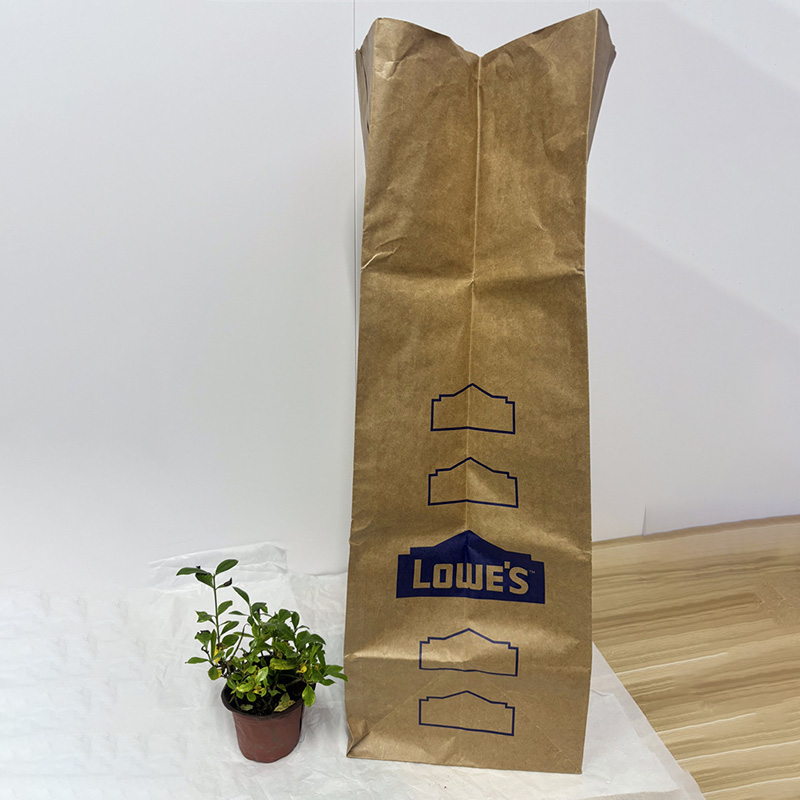 Printed Kraft Retail Paper Bag for Home and Garden Brands